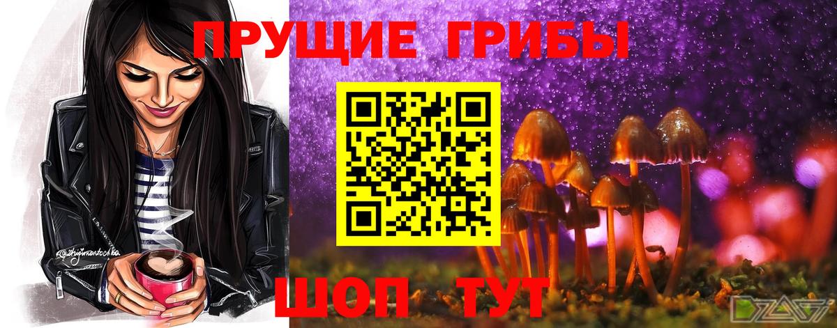 Галлюциногенные грибы Magic Shrooms  Вход с VPN  Сергиев Посад 