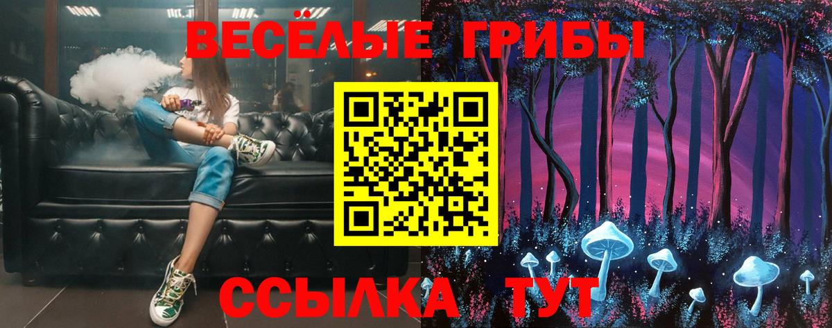 Псилоцибиновые грибы Cubensis Сергиев Посад